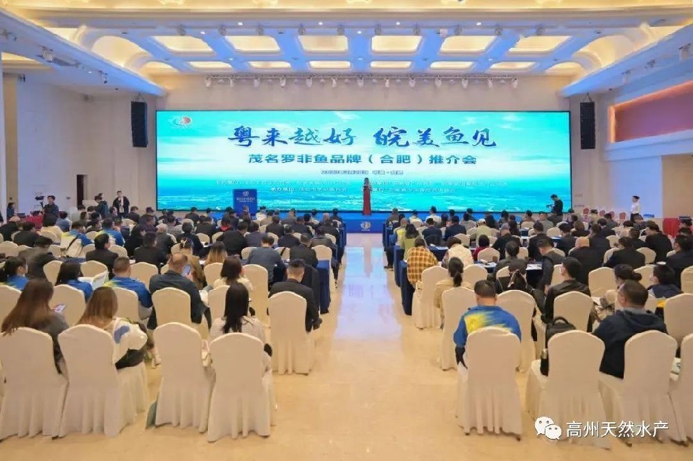 “粵來越好 皖美魚見”-----茂名“一條魚”（羅非魚）引爆安徽商圈！